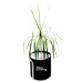 Grow Bag 30 л — Агротекстильный горщик 34х34 см