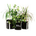 Grow Bag 30 л — Агротекстильный горщик 34х34 см