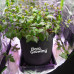 30л Grow Bag ПОСИЛЕНИЙ — Агротекстильний горщик 34х34 см